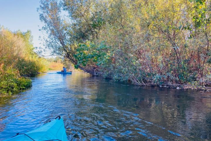 Two kayaks on a narrow river surrounded by dense green foliage under clear blue sky.