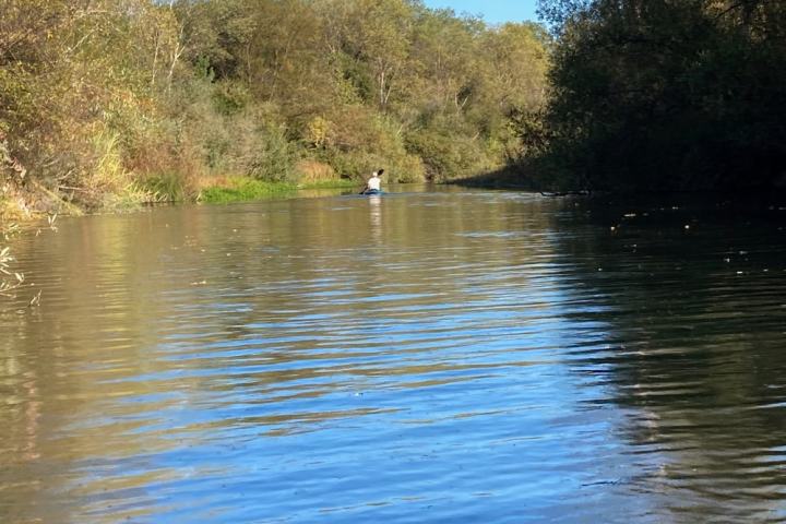 Person kayaking on a river surrounded by trees under a clear blue sky.