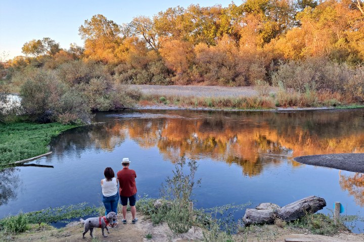 Two people and a dog by a calm river, with autumn trees reflecting in the water.